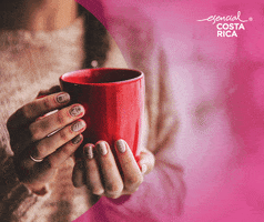 Esencial Costa Rica Marca País GIF