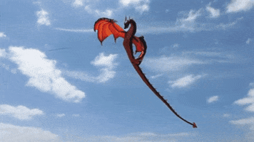 Dragon Kite GIF