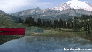 Bear Camping GIF by BlackBearDiner