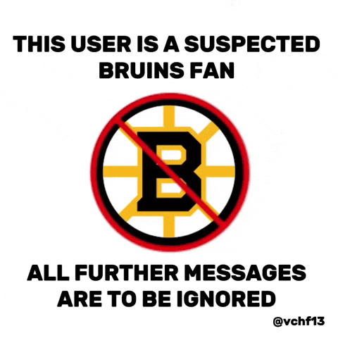 Boston Bruins GIF