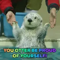 sea otter good job GIF by Justin