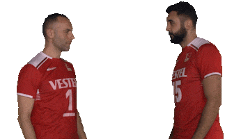 Türkiye Voleybol Federasyonu Sticker