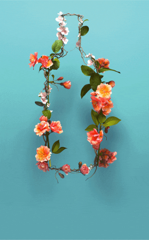 Prusacares Responsiball GIF by Pernod Ricard USA