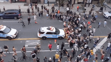 200.gif?cid=fc005b08339026db25e0dd45aaad517a24e8a9caad90d866&rid=200.gif&ct=g