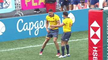 celebrate best friend GIF by World Rugby