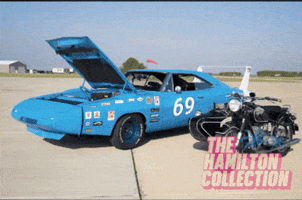 Dodge Charger GIF by TheHamiltonCollection