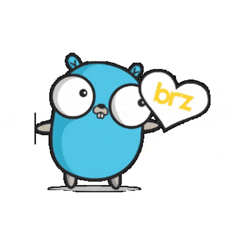 Golang GIF by BRZ
