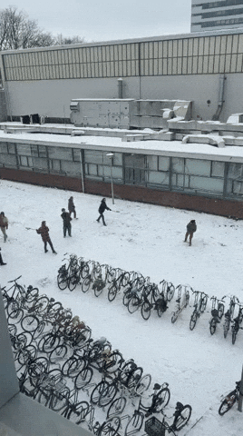 GIF by delftlacrosse
