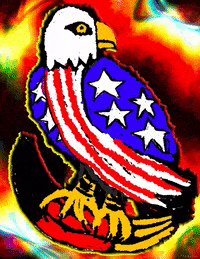 Cartoon-eagle GIFs - Get the best GIF on GIPHY Cartoon-eagle GIFs - Get the best GIF on GIPHY