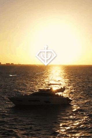 Yacht Vibes GIF