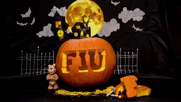 halloween pumpkin GIF by FIU