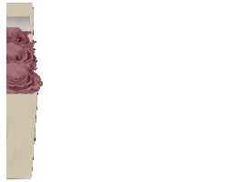 the CLASSY BLOOMS Sticker