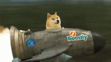 Moon Dogecoin GIF by Boostly
