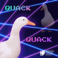 Duck Vibe Sticker by Isekai Meta for iOS & Android | GIPHY