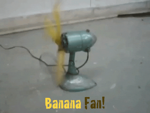 Image result for electric fan gif funny