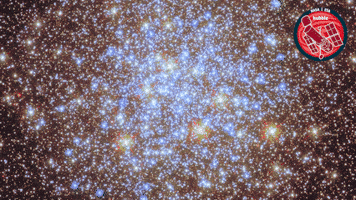 Deep Space Stars GIF by ESA/Hubble Space Telescope