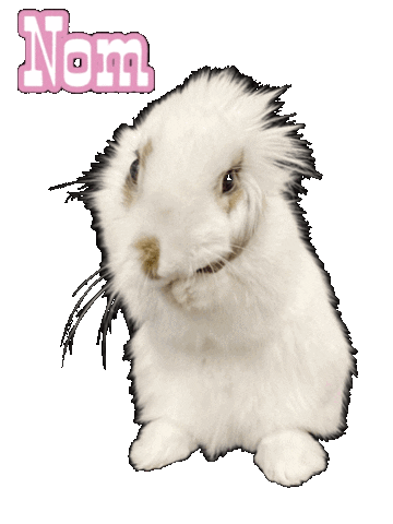 Bunny Sticker
