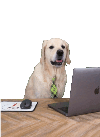 Dog Smile Sticker by Rigatoni