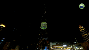 United Arab Emirates Lights GIF by Save Soil