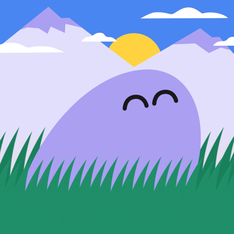 Solana GIF by Phantom