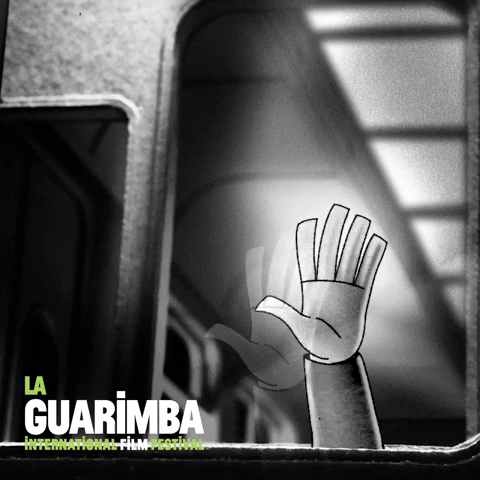 Oh My Reaction GIF by La Guarimba Film Festival