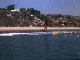 permacrust  GIF