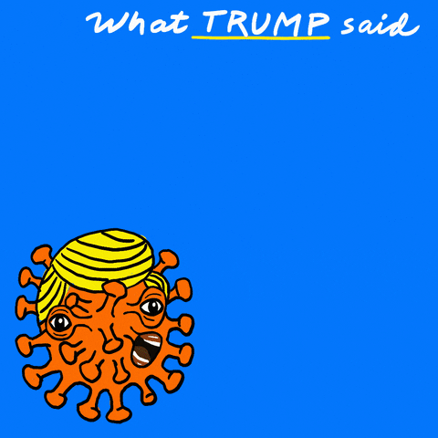 Donald Trump GIF by Creative Courage