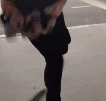 Shoes GIF