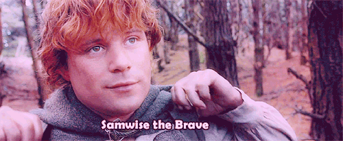 samwise gamgee