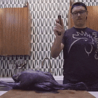 [Linked Image from media3.giphy.com]