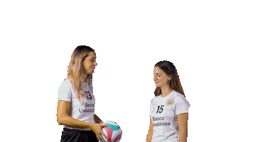 Volleyball Volley Sticker by Millenium Brescia