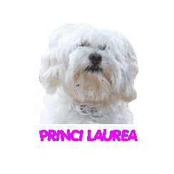 Princilaurea Sticker by Roberta Bacarelli
