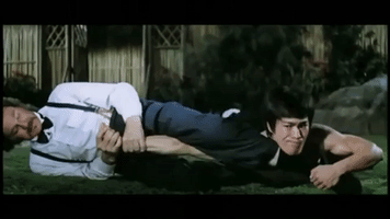 Bruce Lee Mma GIF