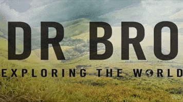 Kannada Karnataka GIF