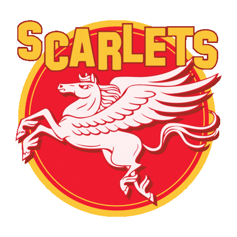 Angel City Derby Sticker