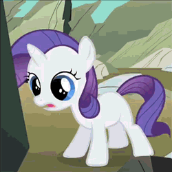 rarity