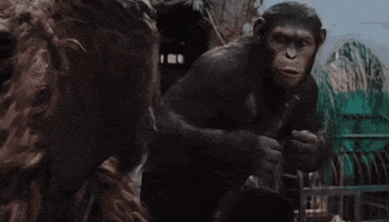 Movie gif. A scene from Planet of the Apes. A chimp and orangutan sit together. The chimp uses his body and a stick to sign the words, “Ape together…strong!”