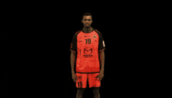 Handball Dragon GIF by HCCA