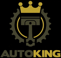 autokingsk GIF
