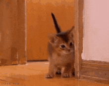 https://media3.giphy.com/media/evexWPy1fI9H2/giphy.gif?cid=790b76110e7c129eb0928e9573a6bcaec3a85fb5ef883165&amp;rid=giphy.gif&amp;ct=g