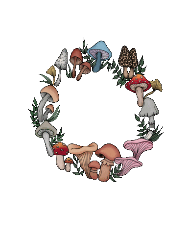 studiomonday Sticker