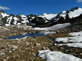 Dr Michael Piepkorn GIF