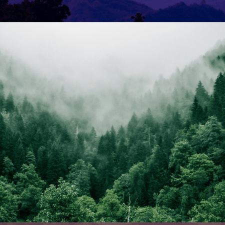 Ian Schenkel Of Newport Beach GIF