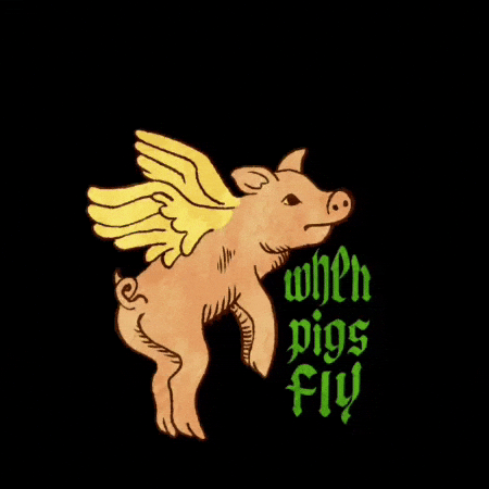 Pig GIF