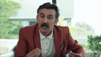 Angry Necip Memili GIF by Show TV