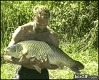 Funny Fishing GIFs - Find & Share on GIPHY