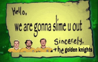 Vegas Golden Knights Hockey GIF