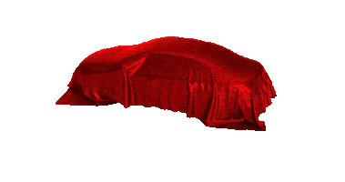 CanCan Oto Dizayn Sticker