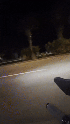 2023 GIF