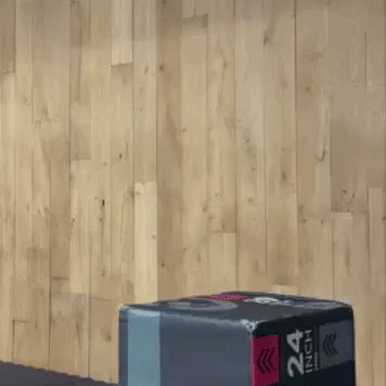 Woibo GIF